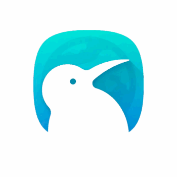 Kiwi Browser